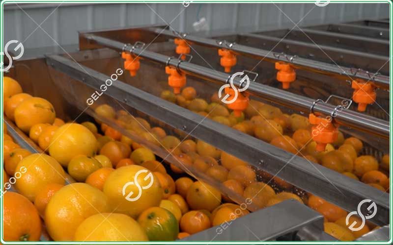 citru-cleaning-machine