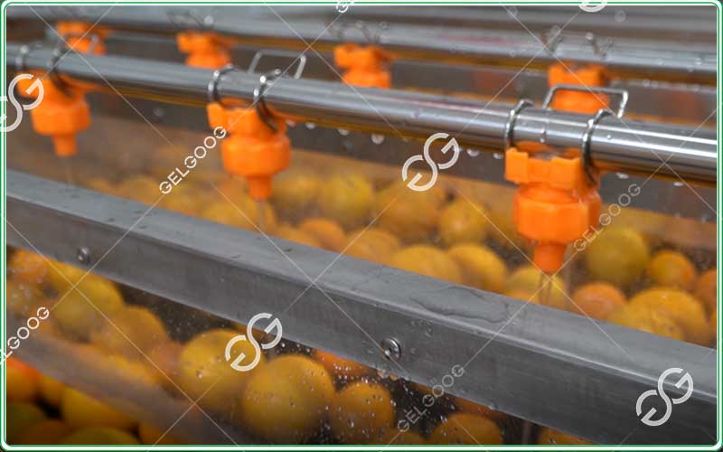 citrus-cleaning-equipment