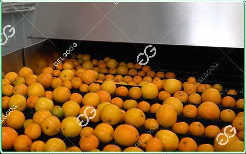 citrus-cleaning-machine
