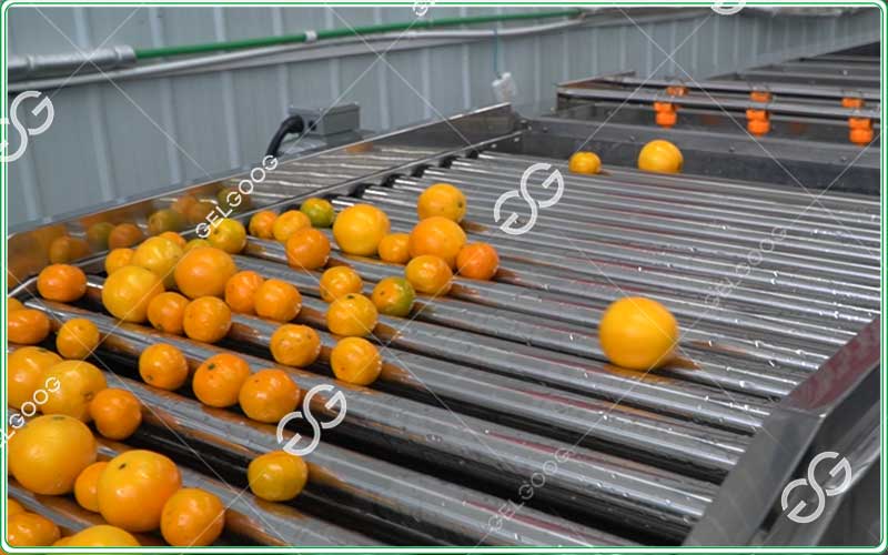 citrus-cleaning-machines