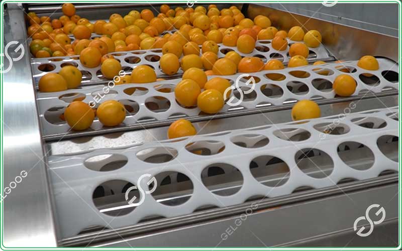 citrus-grading-and-sorting-machines