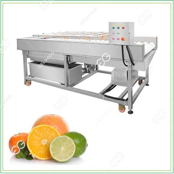 Professional Citrus Washing Machine | Brush Washer