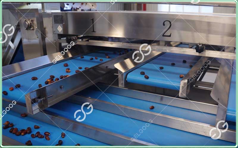 dates-sorting-and-grading-machine