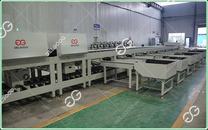 fruit-sorting-machine