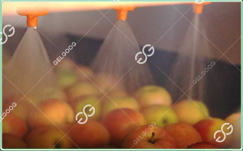 fruit-washing-equipment