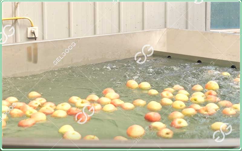 industrial-apple-washing-machine