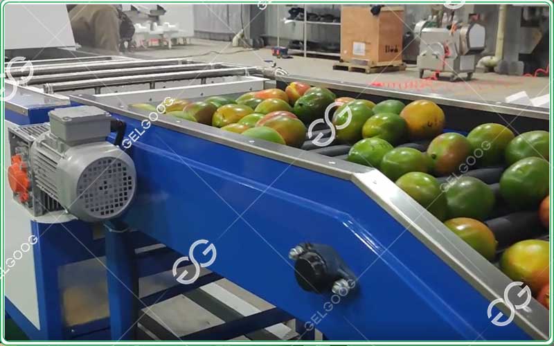 industrial-fruit-washing-machine