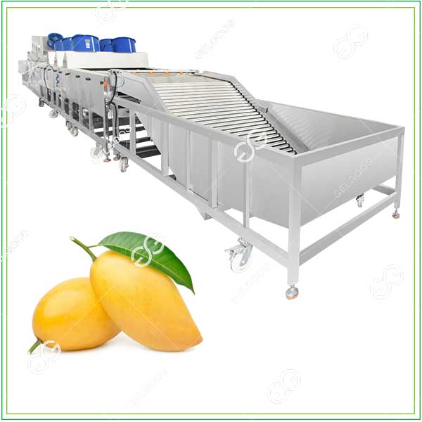 Mango Fruit Cleaning Washing Machine | Industrial Manufacturer