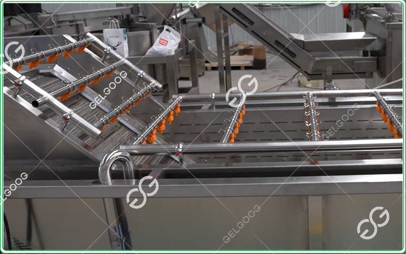 mango-processing-machine-price