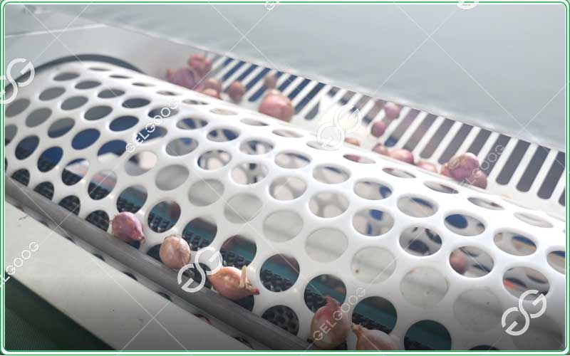 onion-grading-machines