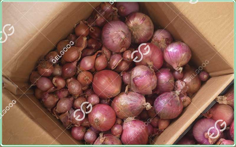 onion-size-sorter