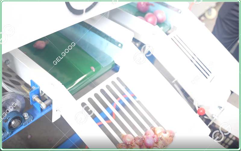 onion-sorting-machine
