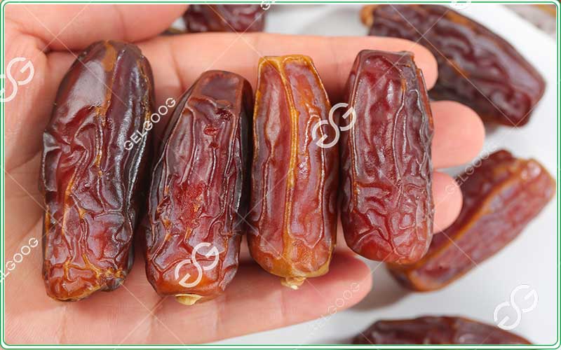 palm-date-sorting-and-grading-machine