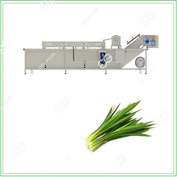 pandan-leaves-washing-and-cutting-machines