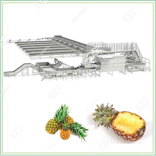 pineapple-sorting-and-grading-machine