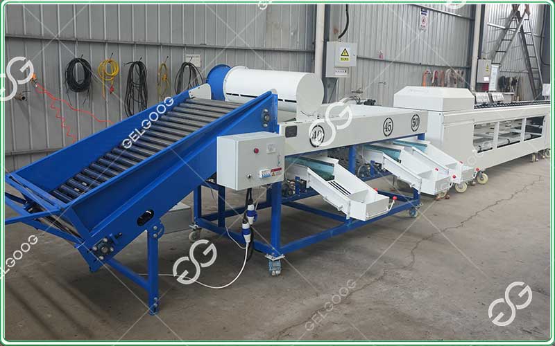 roller-grader-for-onion