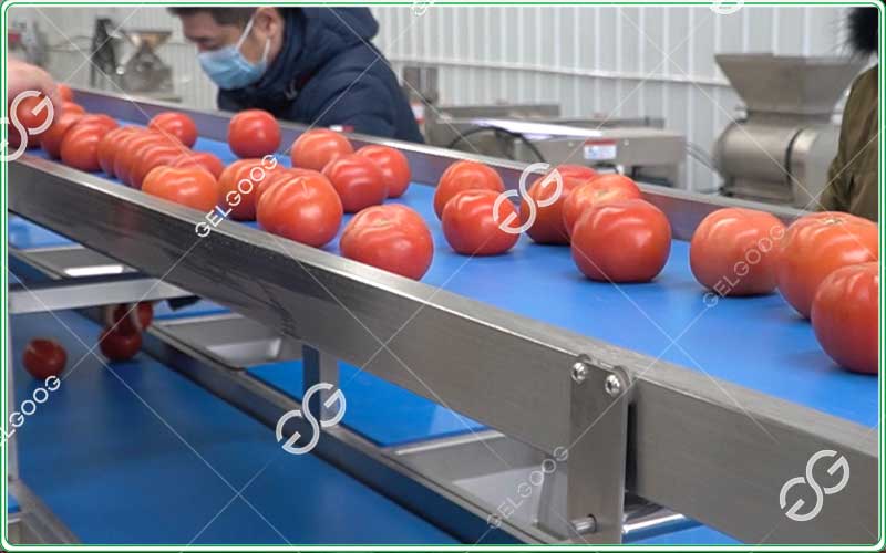 tomato-sorting-and-grading-machine