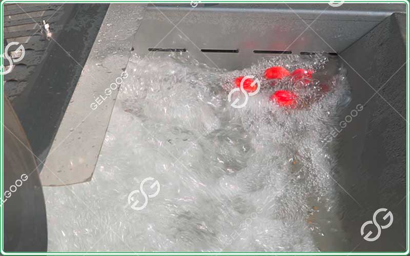 Bubble-washer-for-strawberries