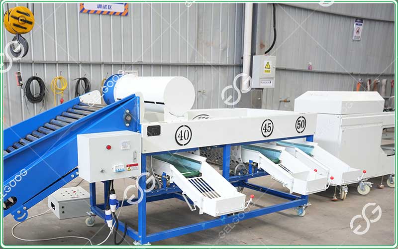 Cape-Gooseberry-Grading-Machine