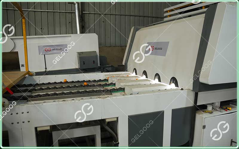 Citrus-Acidity-Sorting-Machine