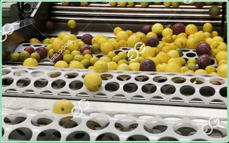 GELGOOG-sorting-equipment