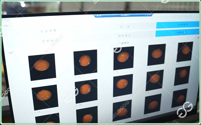 Mandarin-Color-Grading-Machine