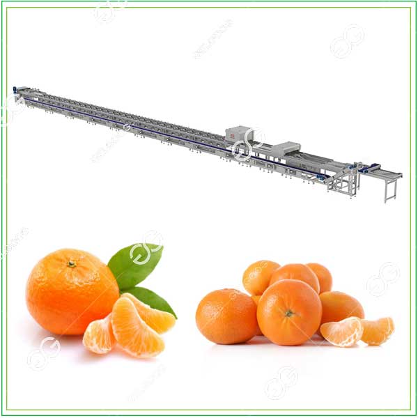 Mandarin-Grading-Machine
