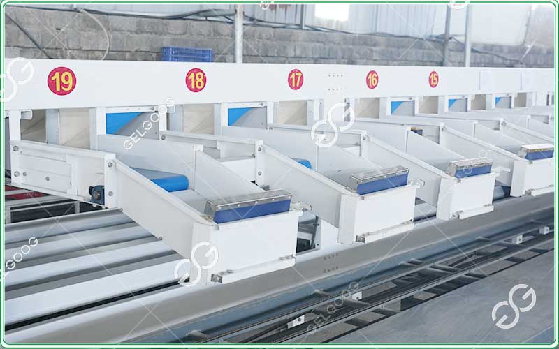 automatic-kiwi-sorting-grading-machine