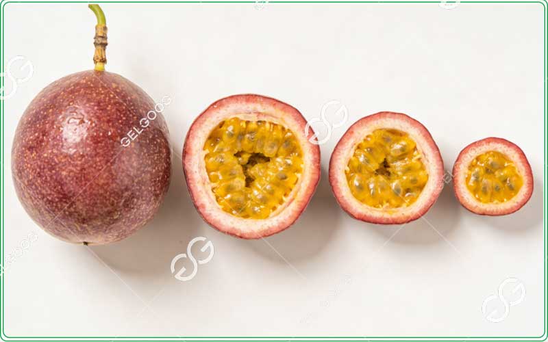 fruit-grading-machine