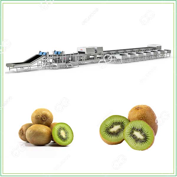 kiwi-sorting-machine