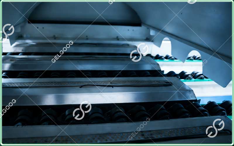 lemon-sorting-and-grading-machine