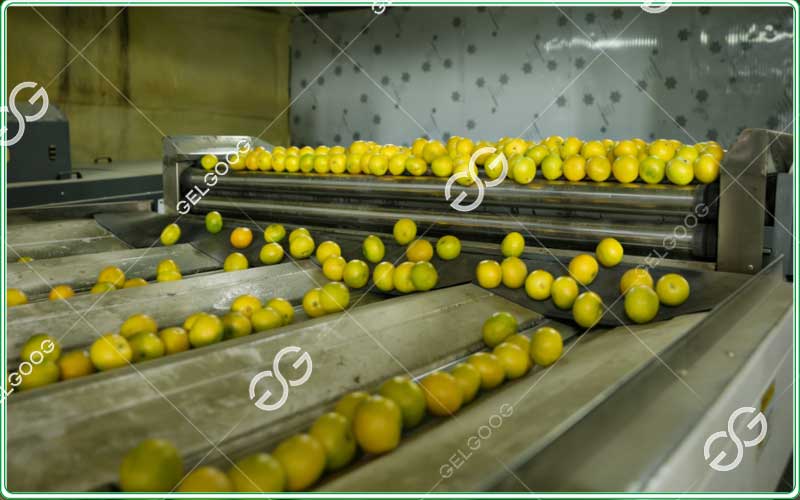 lemons-sorting-and-grading-machine
