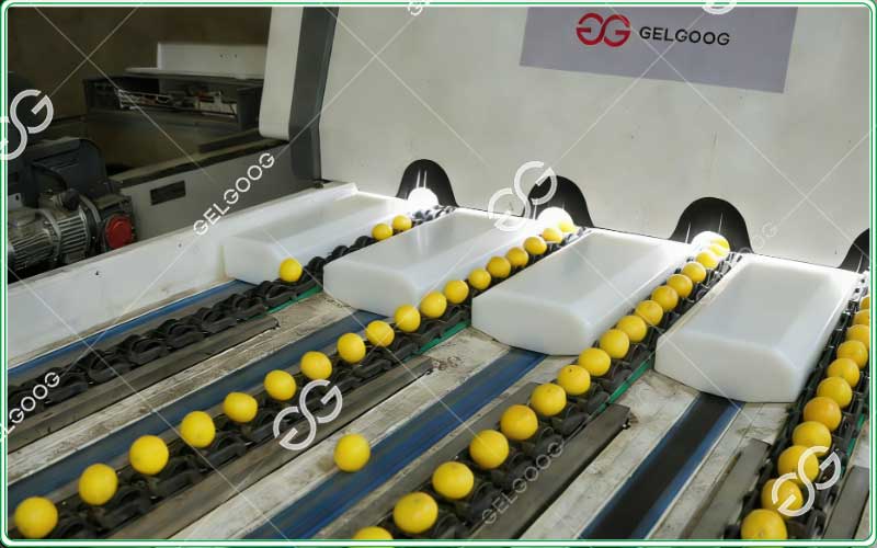 lemons-sorting-machine