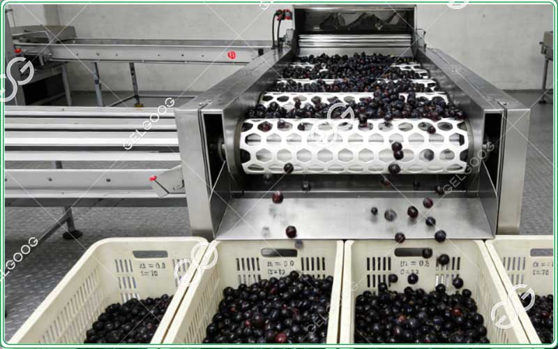 ood-Grade-Physalis-Grading-Machine