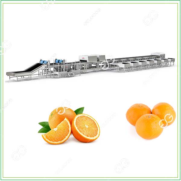 orange sorting and grading equipment