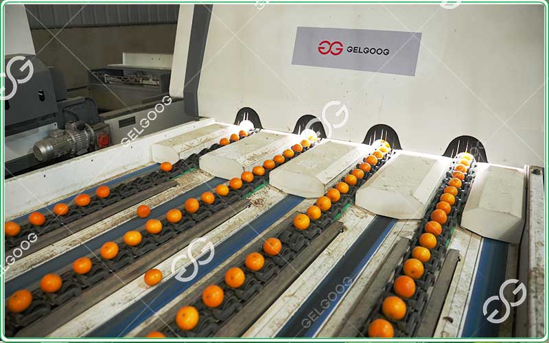 orange-sorting-and-grading-machine