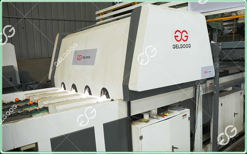 orange-sorting-equipment