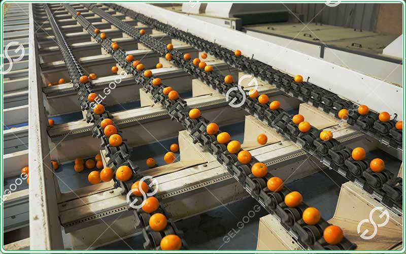 orange-sorting-machine