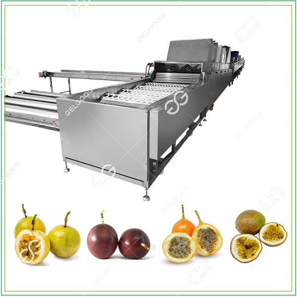 GELGOOG Passion Fruit Roller Grader Non-Damage Sorting