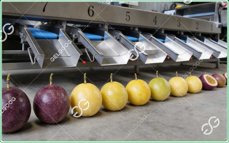 passion-fruit-roller-grader