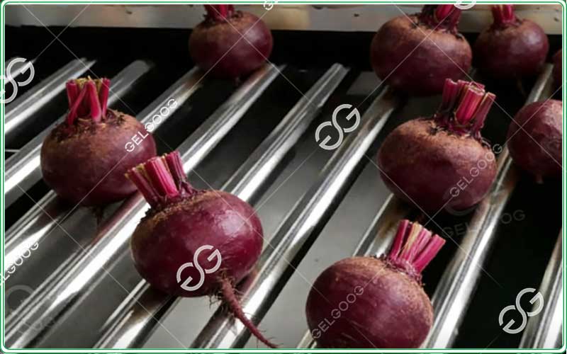 precision-beetroot-grading-equipment