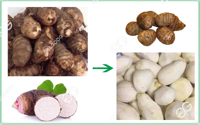 taro-pre-processing-equipment