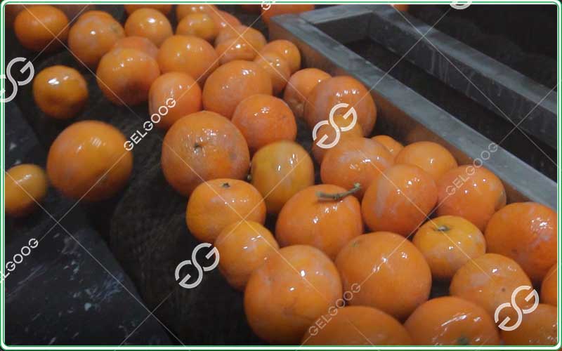 automatic lemon waxing and polishing machine