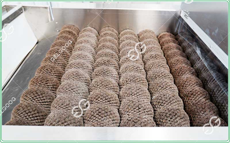 GELGOOG fruit processing equipment factory