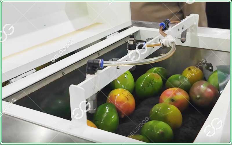 low-temperature lemon drying machine