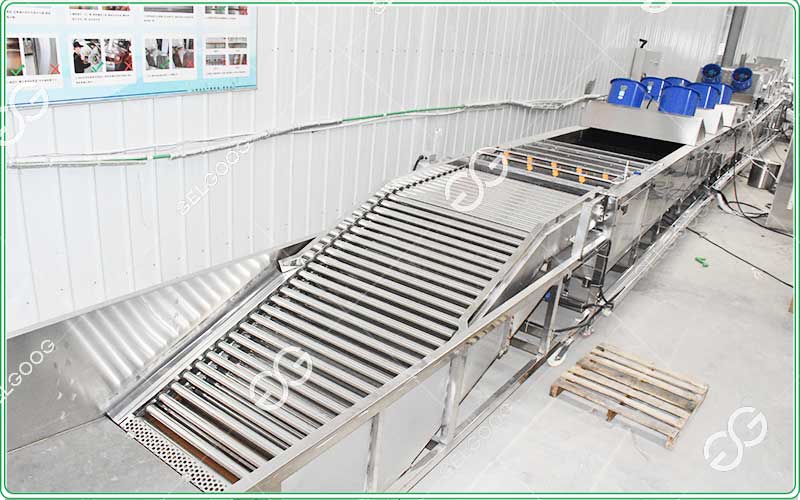GELGOOG lemon cleaning and waxing line industrial machine