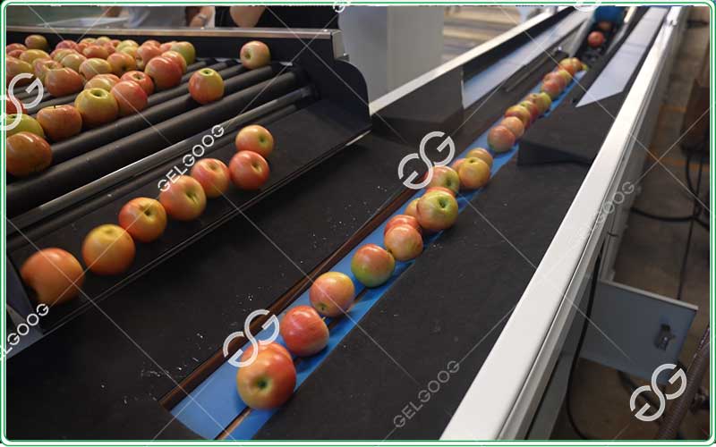 apple diameter grader