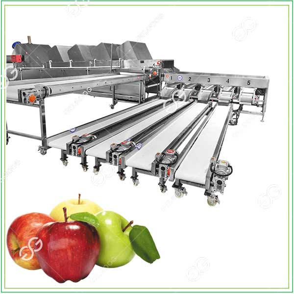 apple grading machine