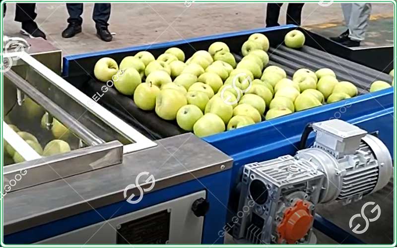 fruit sorting machine