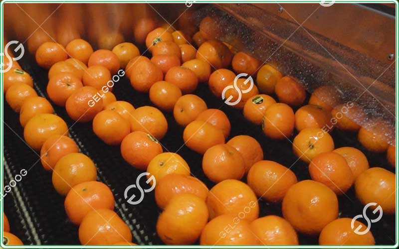 citrus-waxing-machine